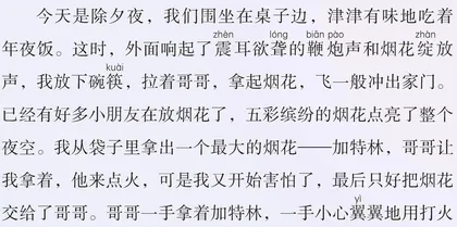除夕夜的烟花秀