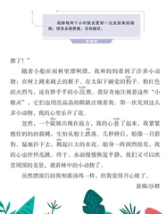 热带雨林漂流