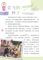 会飞的种子