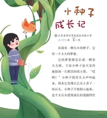 小种子成长记