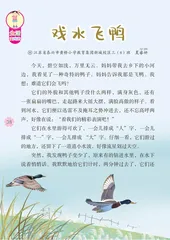 戏水飞鸭