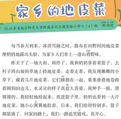 家乡的地皮菜