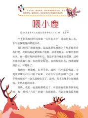 喂小鹿