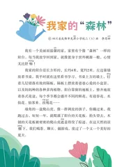 我家的“森林”