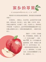 家乡的苹果