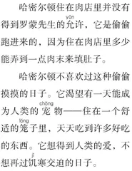 想当宠物的老鼠