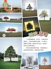 奇妙世界 树的思考