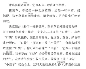 我真喜欢猪笼草
