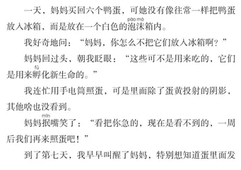跳动的生命