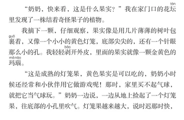 藏在灯笼果里的小秘密