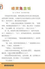 精灵兔盒饭