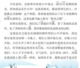 北极追光
