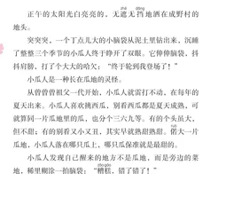 小瓜人的夏天