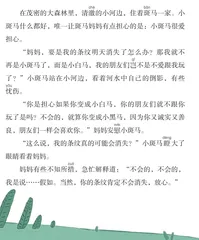 爱担心的小斑马