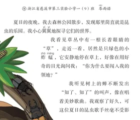 夏日寻“宝”记
