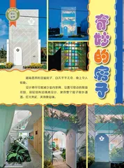 奇妙的房子