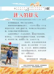 迷人的秋天