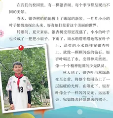 校园里的银杏树