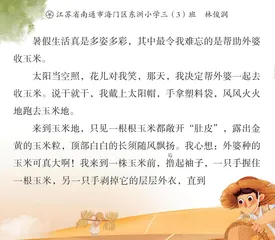 收玉米