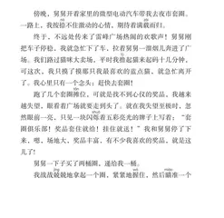 套圈达人