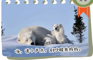 笑花笑草