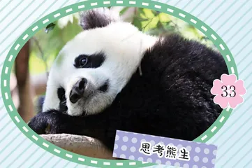 笑花笑草  奇妙世界
