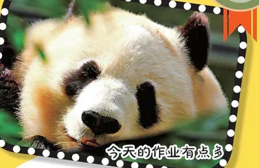 笑花笑草