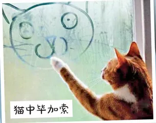 笑花笑草