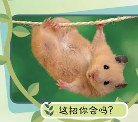 笑花笑草