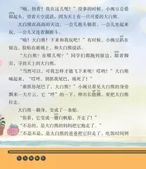 天上飞下大白熊