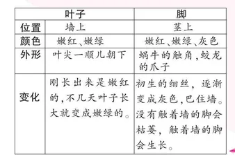 细致观察 