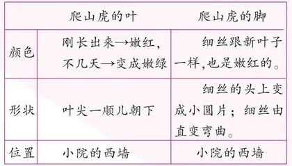 多种角度连续观察