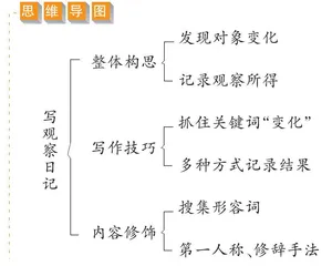 写观察日记