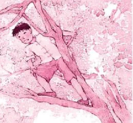 《小英雄雨来》阅读串讲