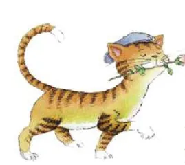 我家的虎皮猫