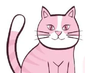 驯服一只猫