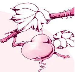 假如我有个宝葫芦