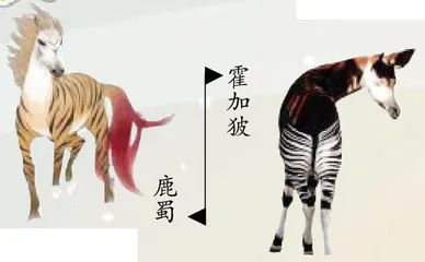 《山海经》中的异兽原型