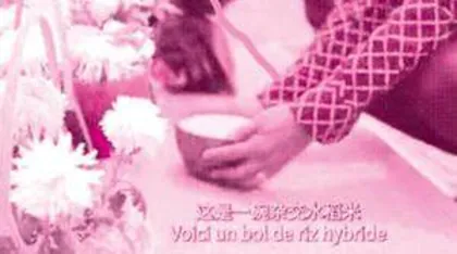 来自非洲的杂交水稻米