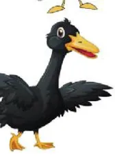 喂鸭子