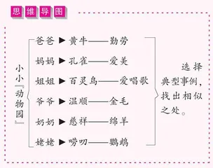 小小“动物园”