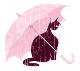 雨