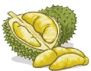 吃榴梿