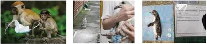 不让口罩成为污染源