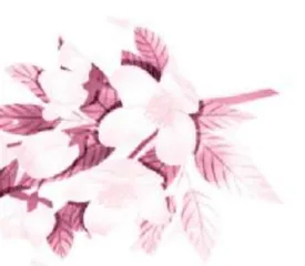 我与茉莉交朋友