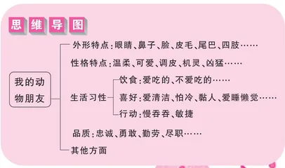 我的动物朋友