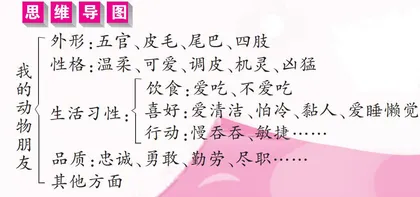 我的动物朋友