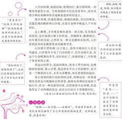 邂逅西湖(节选)