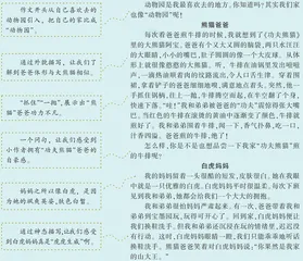 小小“动物园”