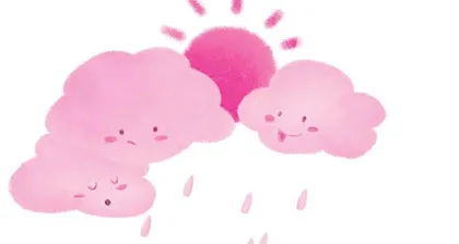 雨